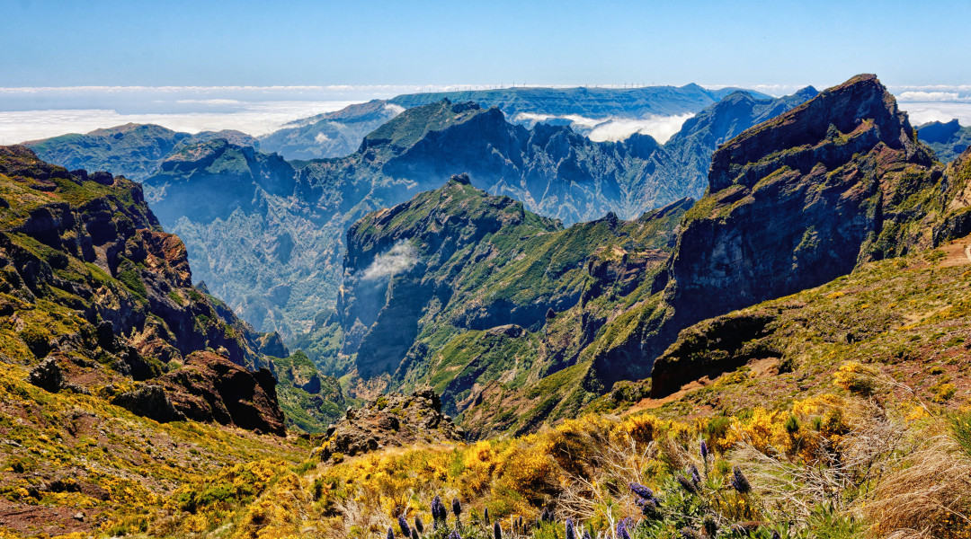 Madeira – populiari keliautojų kryptis ištisus metus