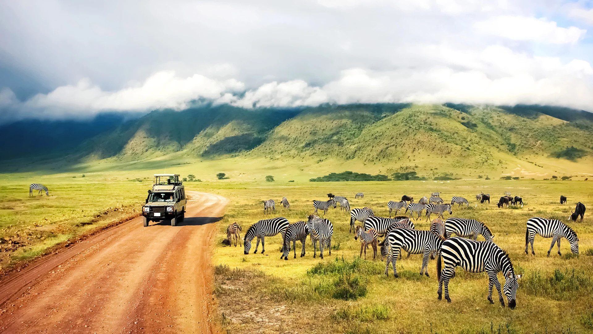 Pažintinė kelionė „Safaris rojuje“
