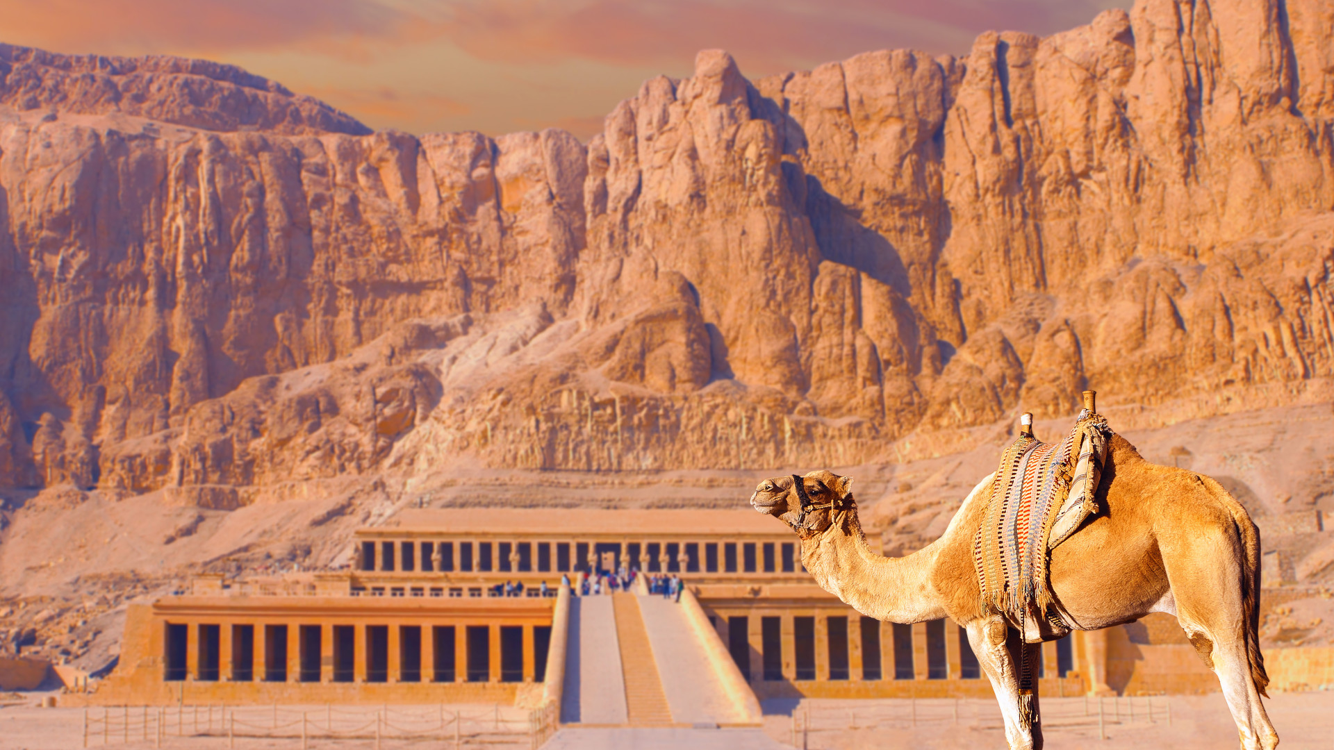 Pažintinė kelionė „Faraonų lobiai“
