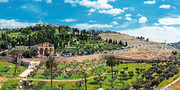 Getsemanės sodo alyvuogės | Pažintinė kelionė
