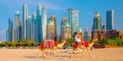 Ibis Dubai Al Barsha